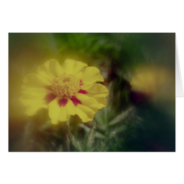 Or (Devant horizontal)