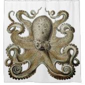 Or à la mode d'argent de rideau en douche de noir (Devant)