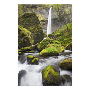 OR, Columbia River Gorge, Elowah Falls en Foto Afdruk
