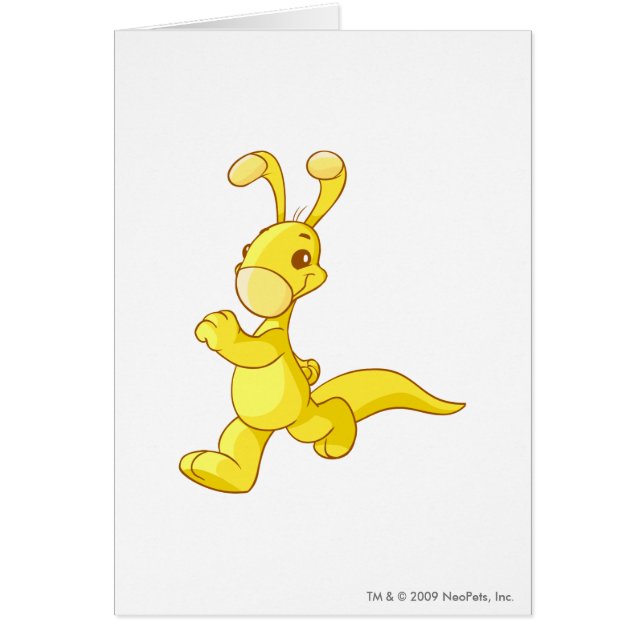 Or de Blumaroo (Devant)