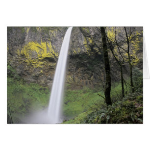 OR, Gorge du Columbia, Elowah Falls, McCord