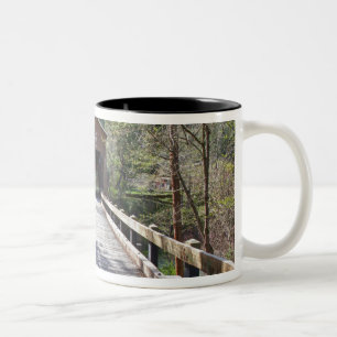 OR, Jackson County, McKee overdekte brug Tweekleurige Koffiemok