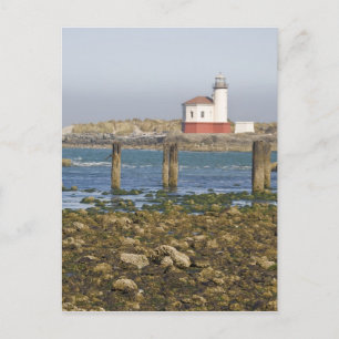 OR, Oregon kust, Bandon, Coquille rivier 2 Briefkaart