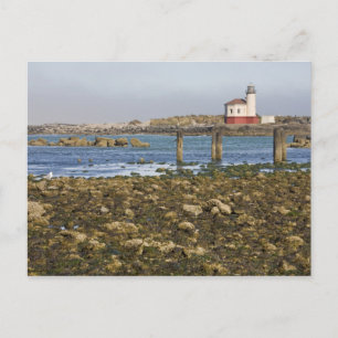 OR, Oregon-kust, Bandon, Coquille-rivier Briefkaart
