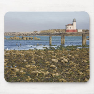 OR, Oregon kust, Bandon, Coquille rivier Muismat