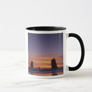 OR, Oregon-kust, Cannon Beach, zeestacks bij Mok