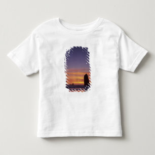 OR, Oregon kust, Cannon Beach, zeestapels bij Kinder Shirts
