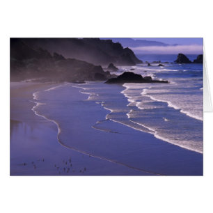 OR, Oregon-kust, Ecola SP, Indian Beach met