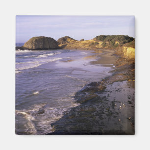 OR, Oregon-kust, Newport, kustlijn bij Seal Magneet