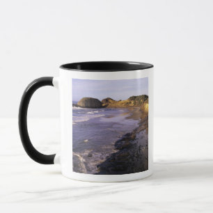 OR, Oregon-kust, Newport, kustlijn bij Seal Mok