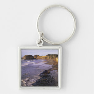 OR, Oregon-kust, Newport, kustlijn bij Seal Sleutelhanger