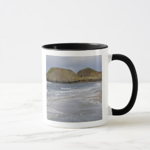 OR, Oregon-kust, Seal Rock State Park, Mok