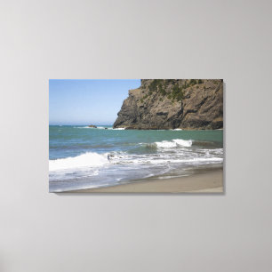 OR, Oregon-kust, Whaleshead Beach, Zuid Canvas Afdruk