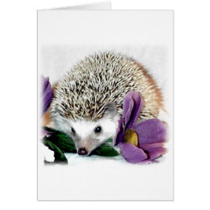 Orageux le hérisson