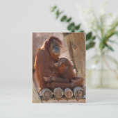 Orang Moeder & Kind 7312 Briefkaart (Staand voorkant)
