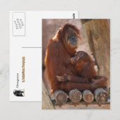 Orang Moeder & Kind 7312 Briefkaart (Voorkant / Achterkant)