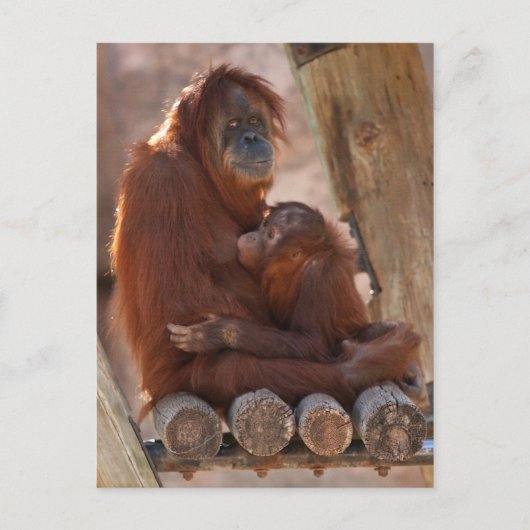 Orang Moeder & Kind 7312 Briefkaart (Voorkant)