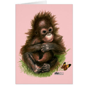 Orang-oetan Baby en Vlinder