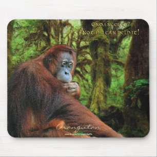 Orang-oetan en regenwoud Wildlife-support Mousepad Muismat