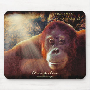 Orang-oetan en regenwoud Wildlife-support Mousepad Muismat