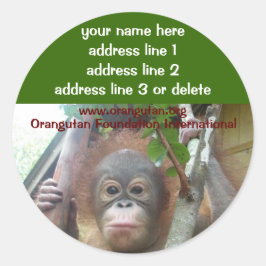 Orang-oetan gered Wildlife Charity adresetiketten Ronde Sticker