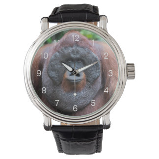 Orang-oetan horloge