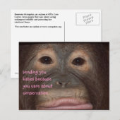 Orang-oetan kussen voor behoud briefkaart (Voorkant / Achterkant)