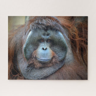 Orang-oetan Legpuzzel