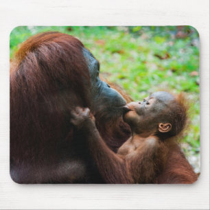 Orang-oetan moeder met baby muismat