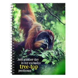 Orang-oetan ontspannen in de boom notitieboek