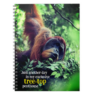 Orang-oetan ontspannen in de boom notitieboek