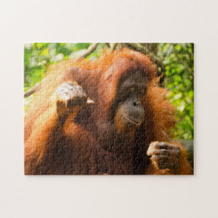 Orang-oetan Singapore Zoo . Legpuzzel