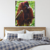 Orang-oetan - Vol Canvas Afdruk (Insitu (Slaapkamer))