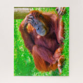 Orang-oetans. Legpuzzel (Verticaal)