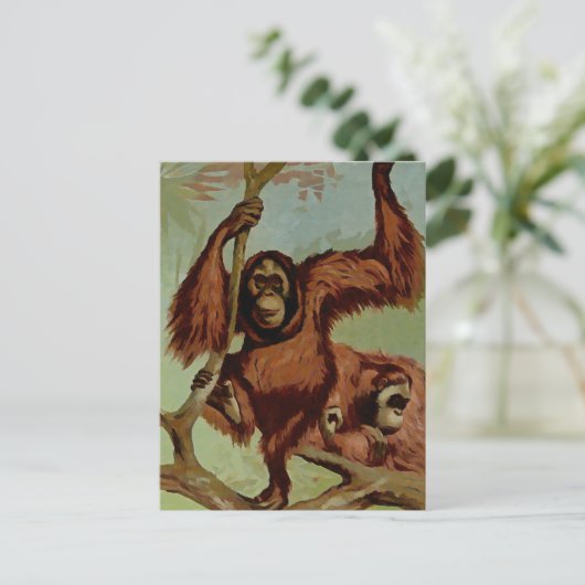 orang-oetans op een boom briefkaart (Staand voorkant)