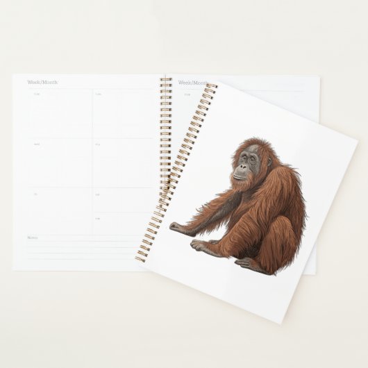 Orang-outan (Devant avec enveloppe)