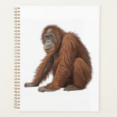 Orang-outan (Devant)