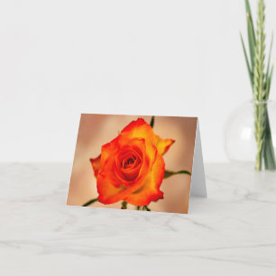 Orange avec une pointe de rose jaune carte de voeu