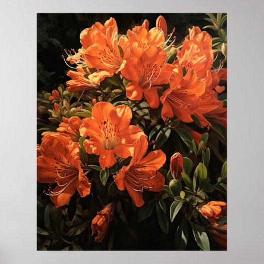 Orange Azalea Fleurs Art Imprimer Poster (Devant)