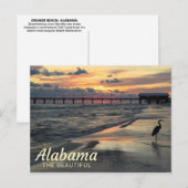 Orange Beach, Alabama Gulf Coast Carte postale (Devant / Derrière)