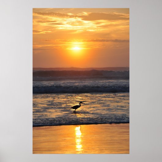 Orange Beach Sunrise Bird Fishing Florida Poster (Devant)