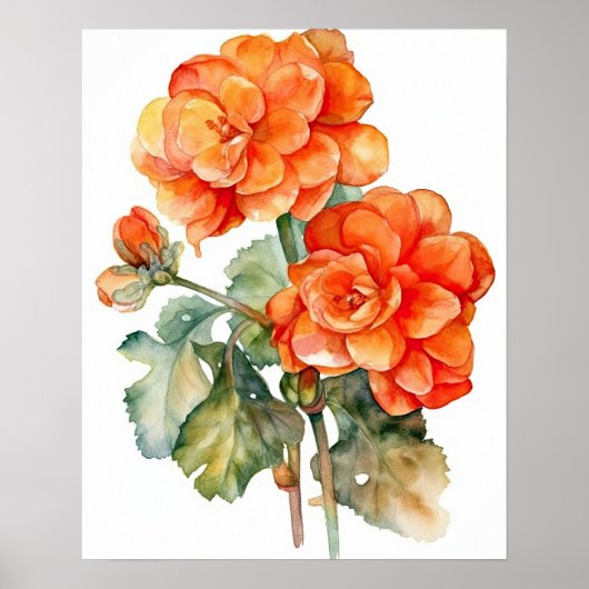Orange Begonia Flowers Art Imprimer Poster (Devant)