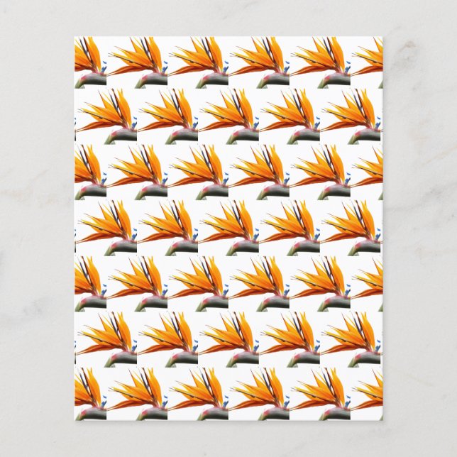 Orange Bird of Paradise Motif Papier à papier à mo (Devant)