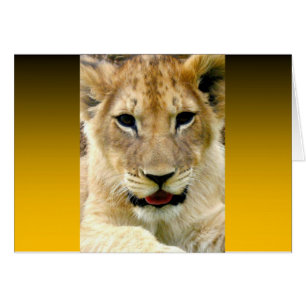 Orange brûlé deux tons