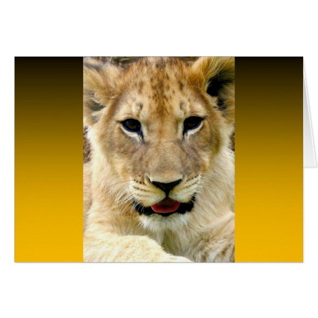 Orange brûlé deux tons (Devant horizontal)