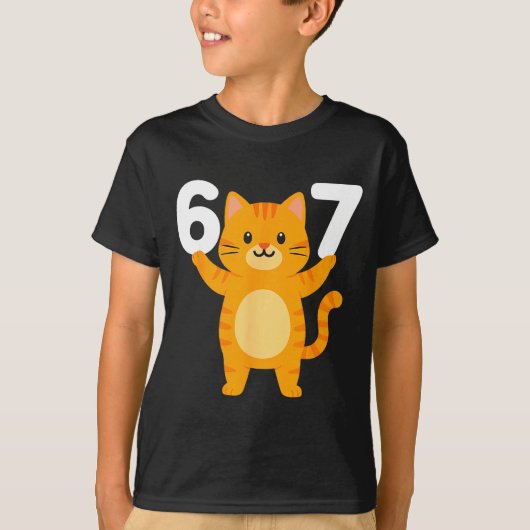 Orange Cat 67 Meme Six Seven Funny Cat Lover  T-shirt (Voorkant)