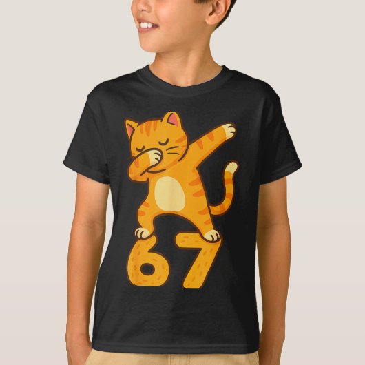 Orange Cat Dabbing Funny 67 Six Seven Meme T-shirt (Voorkant)