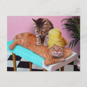 Orange cat enjoying a massage a cat briefkaart