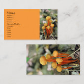Orange Champignons Carte de visite de la photograp (Devant / Derrière)