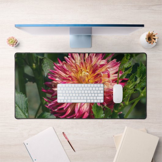 Orange Chrysanthemum Photographie, Fleur canadienn (Bureau 1)